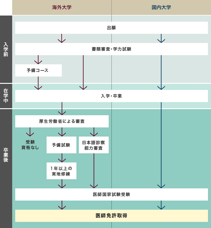 日本で医師免許を取得するまでの流れ