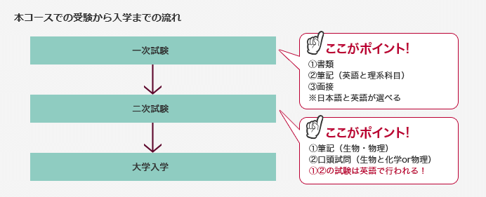 本コースでの受験から入学までの流れ