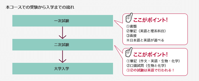 国際 医療 福祉 大学 再 受験