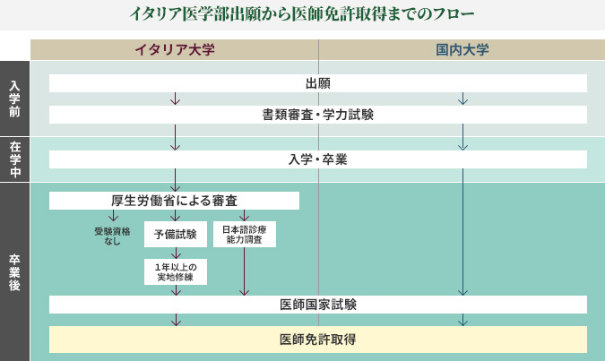 イタリア医学部出願から医師免許取得までのフロー