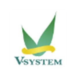 V-SYSTEM