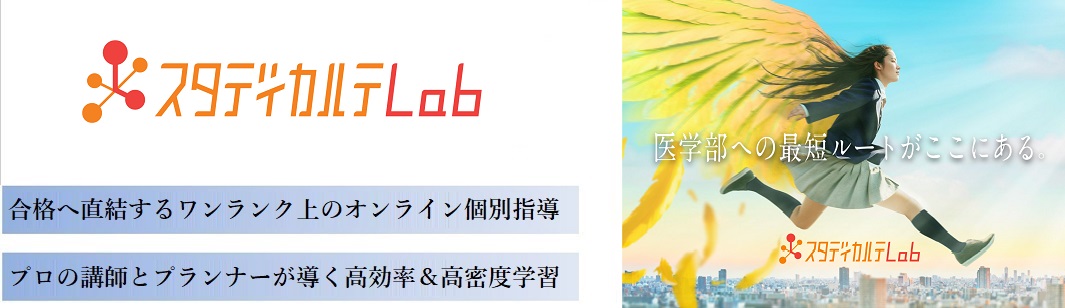 スタディカルテLabの特徴