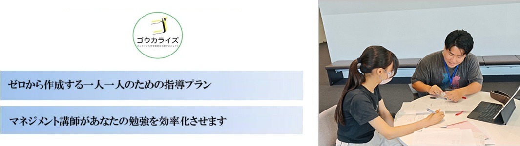 【ゴウカライズメディカル】の特徴