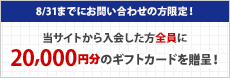 キャンペーン