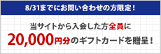 キャンペーン