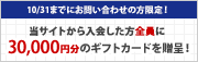 キャンペーン